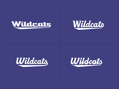 Abilene Christian Unused Concepts abilene christian handlettering handtype hashtaglettering lettering process sport script vectormachine