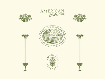 American Herbarium - Overall Preview badge badge design branding design famr logo feminine flower logo geometric graphic design herb herbarium illustration logo logo design minimal monogram pacakaging tea vintage logo visual branding