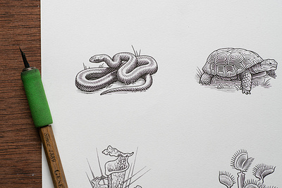 The Nature Conservancy animals editorial engraving illustration line art line work pen and ink pen drawing snake wildlife