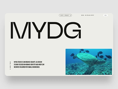 MYDG Studio Website Design brand identity branding creative website design editorial design graphic design portfolio print design publication design webflow webflow animation webflow development website design website portfolio